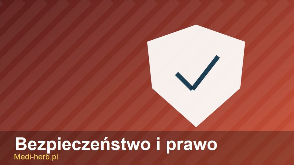 bezpieczenstwo-i-prawo