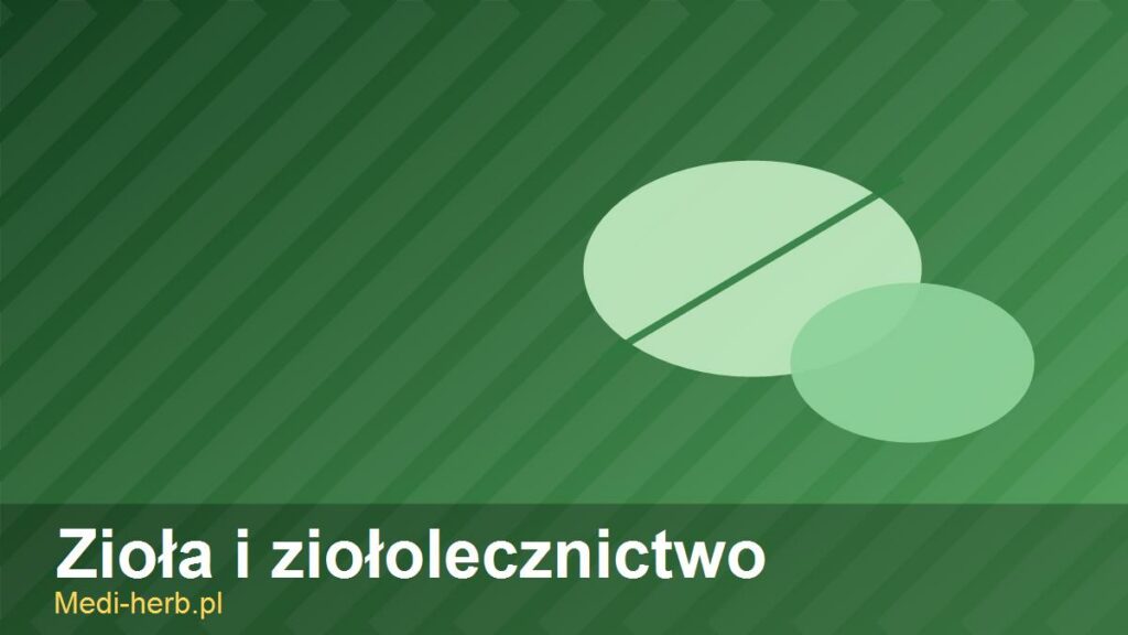 ziola-i-ziololecznictwo
